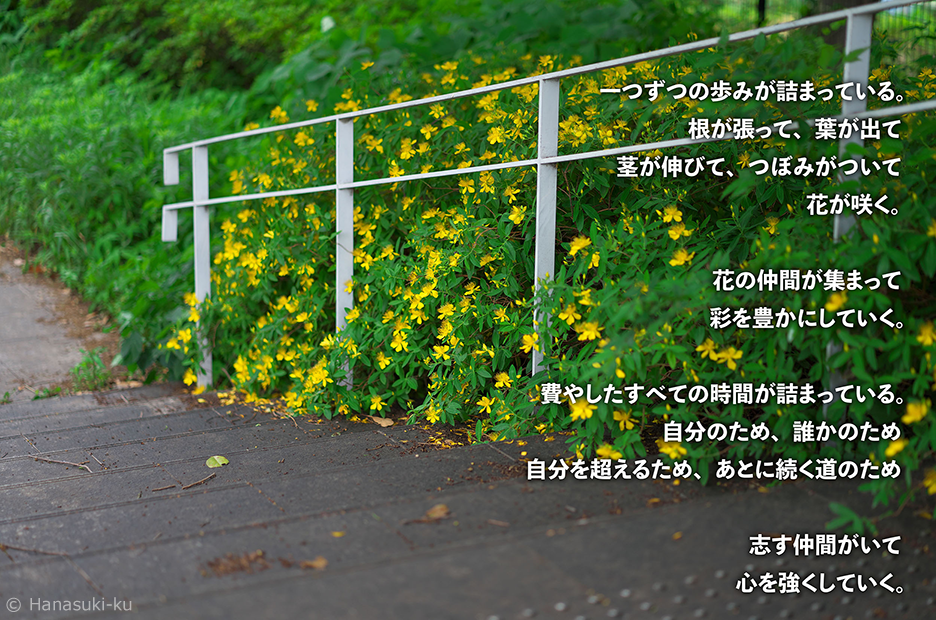 今月のフォトメッセージ