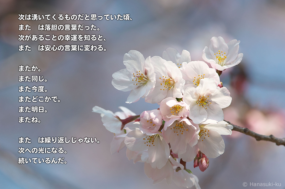 今月のフォトメッセージ